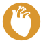 Système cardiovasculaire