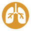 Sphère pulmonaire/ORL